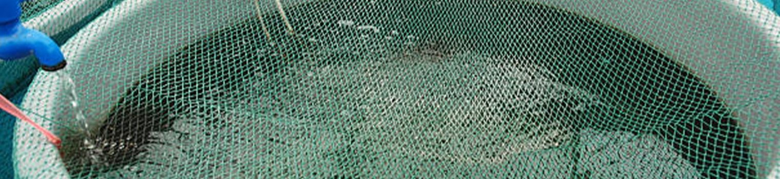 Aquaculture-slider-img (3)